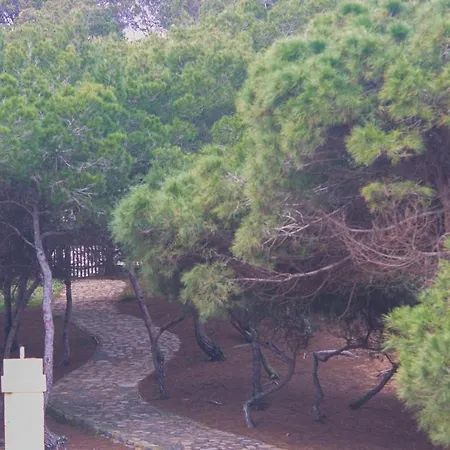 Parquemar