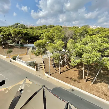 Parquemar Guardamar del Segura